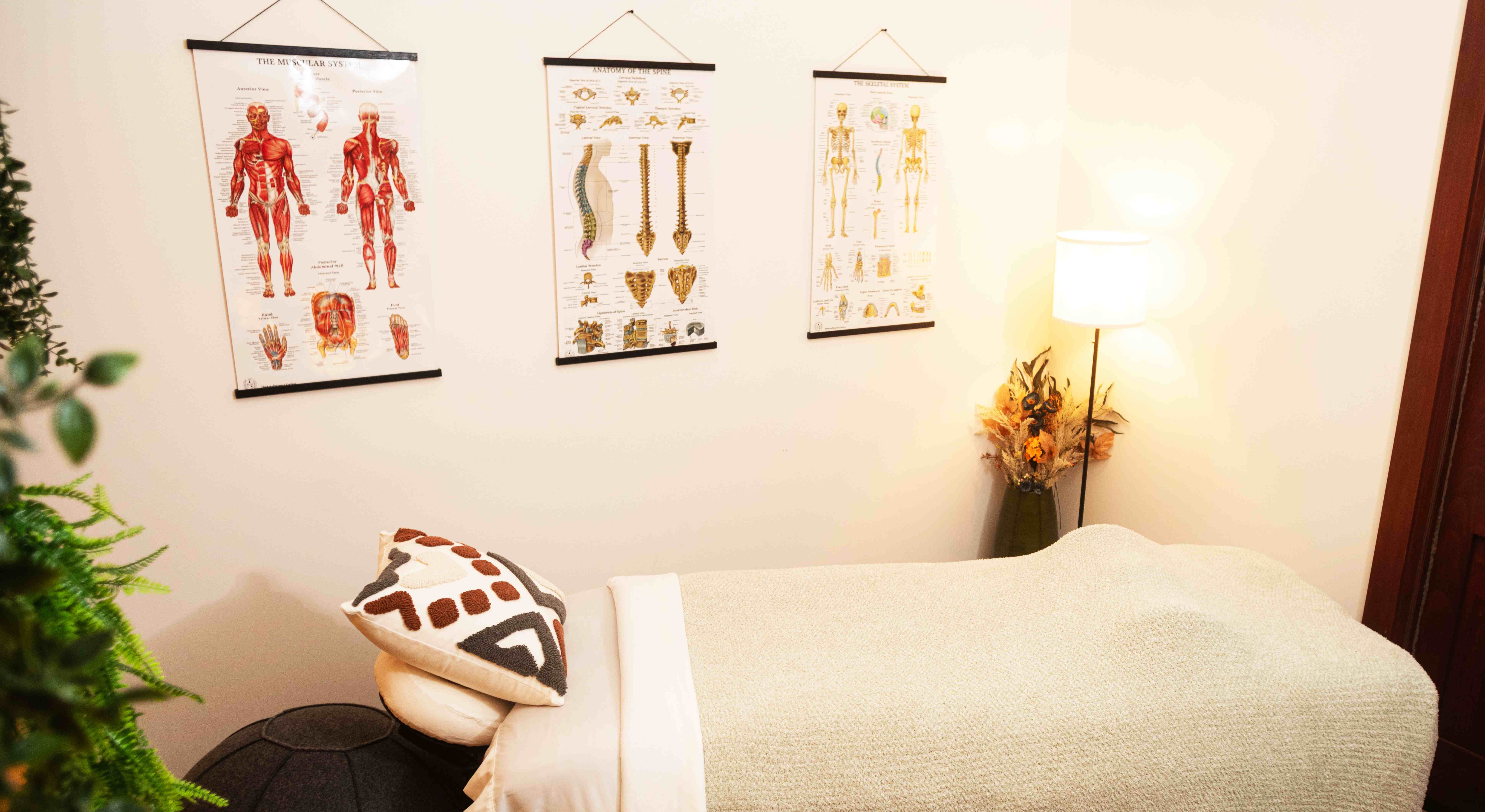 Massage therapy room with treatment table